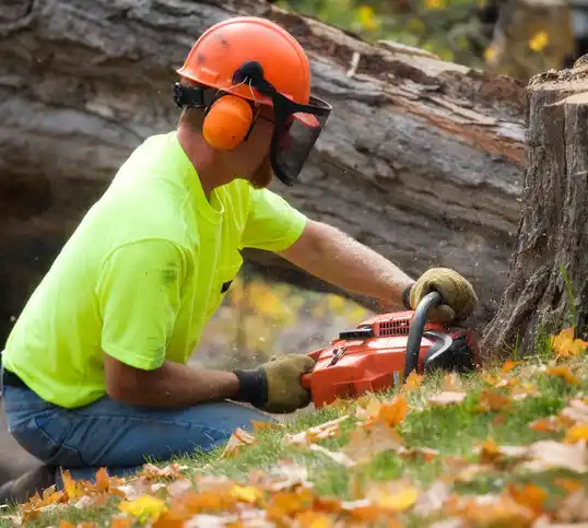 tree services Gibsland